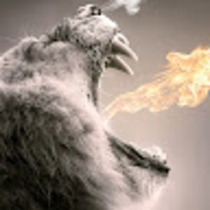 Meet your Posher, Steven